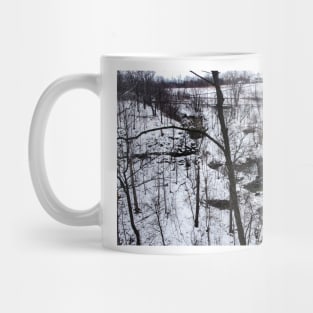 Albion Falls Gorge Winter Mug